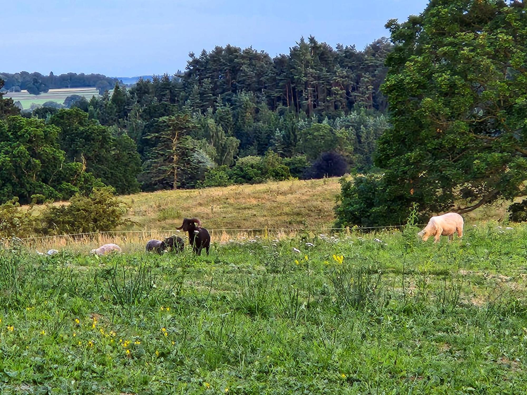 Langriggs At Wetheral Cottages Great Salkeld Exteriér fotografie